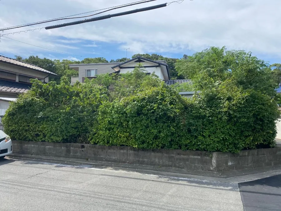 空き家解体 作業前 庭木繁茂 唐原